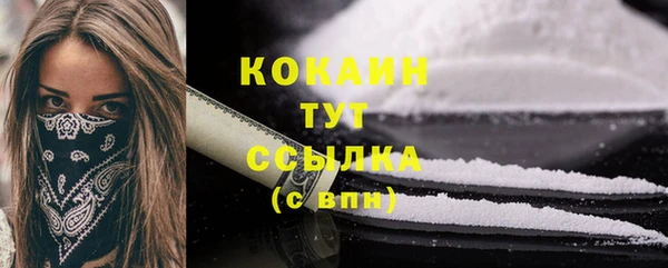 молекула духа Ладушкин