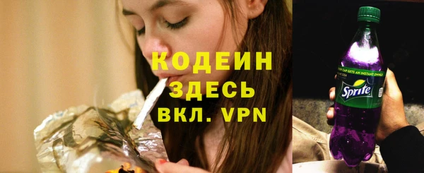 молекула духа Ладушкин