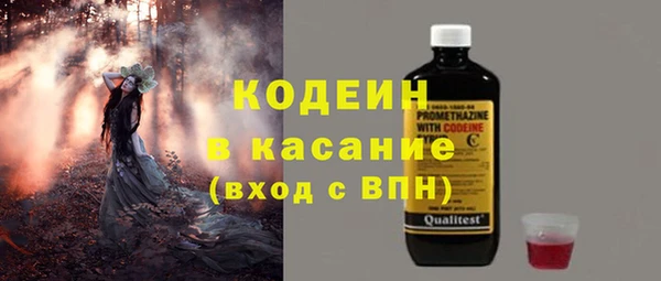 молекула духа Ладушкин