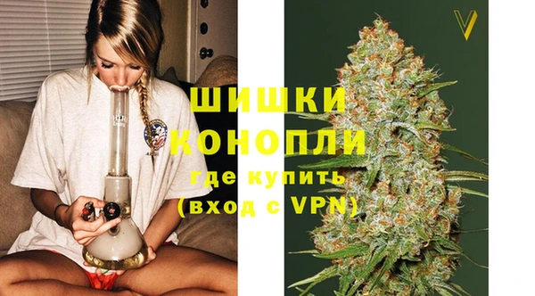 молекула духа Ладушкин