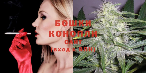 молекула духа Ладушкин